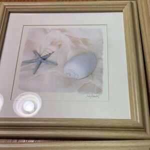 Coastal Seashell Framed Art